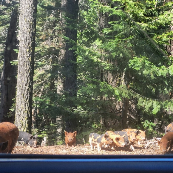 Meet your Posher, Christopher - Picture 10 of 10